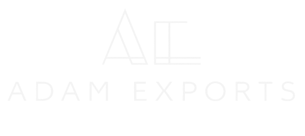 WhatsApp Image 2025-11-12 at 6.57.55 PM-Photoroom 1